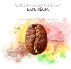 Specialty Coffee Beans, 5Kg, Campos Altos Coffee, Fresh Roast, 100% Arabica, Direct from the Farm - loja online