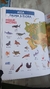 ATLAS DE ANIMALES CON STICKERS - comprar online