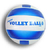 Pelota de volley, caprichito - comprar online