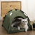 Cama Tenda para Gatos na internet