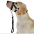 Coleira Premium para Passeios com Cães de Todos os Tamanhos - House Bella | Produtos Inovadores