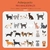 Caminha de Princesa para Gatos e Cachorro, almofada lavável - House Bella | Produtos Inovadores