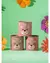 PERFUME INFANTIL URSOLINA CICLO MINI 100 ML na internet