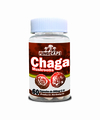 CHAGA MUSHROOM FRASCO C/60 CAPSULAS