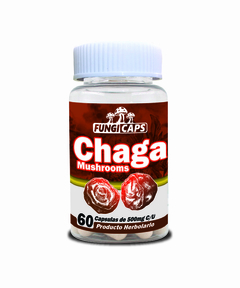 CHAGA MUSHROOM FRASCO C/60 CAPSULAS