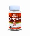 CORDYCEPS MUSHRROM FRASCO C/60 CAPSULAS