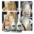Kit Matizador Loiras Hair Brasil + Perfume - comprar online