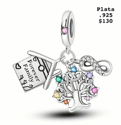 CHARM DE PLATA .925