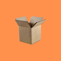 CAJA 25*25*25cm