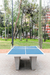 Mesa de Ping Pong - DURBAN HOME  