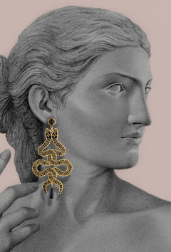 Big water snakes earrings - La Libertad Jewelry