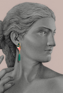 Trogon Birds earrings on internet