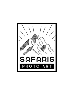 Remera Recta Safaris - comprar online