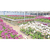 Fertilizante NPK Foliar Adubo para Orquídeas Concentrado 140ml - comprar online