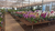 Imagem do Fertilizante NPK Foliar Adubo para Orquídeas Concentrado 140ml