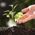 Fertilizante NPK Liberação Lenta Cote 14-14-14 150g - The Gardener