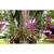 Fixador de Orquídeas Plantas Trepadeiras Flores 4m x 25cm - The Gardener