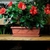 Floreira Jardineira Roma Antiga Nutriplan 35cm cor Cerâmica na internet