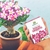 Fertilizante Adubo para Rosa do Deserto 150g - comprar online