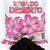 8kg Substrato para Rosa do Deserto Pronto para - comprar online