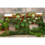 Vaso Fibra de Coco Parede Meia Lua Jardim Vertical na internet