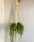 Plant Hanger Elegance na internet