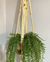 Plant Hanger Elegance - loja online