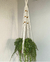 Plant Hanger Elegance