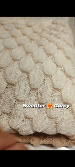 SWEATER CAREY en internet