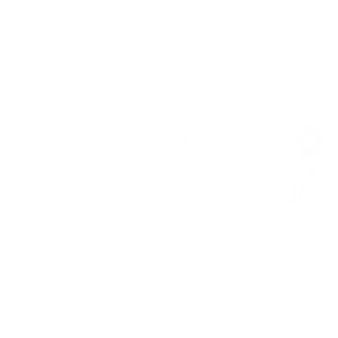 Concept Gallery