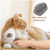 Escova Tira Pelos Dos Pets Cães E Gatos na internet