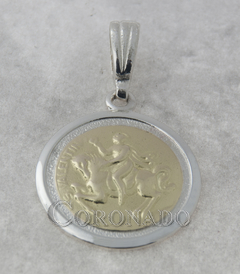 Medallas Lisas con Imagenes Plata y Oro - comprar online