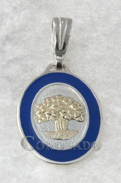 Medallas Oval con filete esmaltado