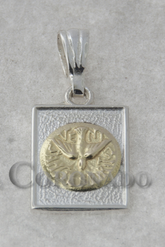 Medallas Rectangular - comprar online