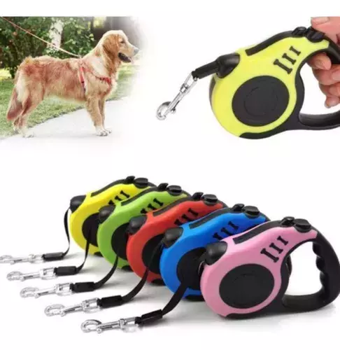 Laisse rétractable pour chien avec contrôle d'extension