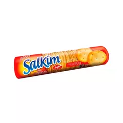 Biscoitos Salgados Salkin 90g - Cx 20un - loja online