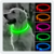 Coleira de Led Luminoso Pet