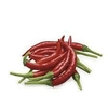 Chile de Arbol