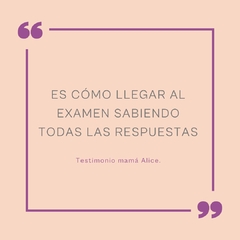 Taller: 24/72 horas postparto: ¡todo lo que tenés que saber! + Guía de Plan de Parto y postparto de regalo! - Alice in Momland