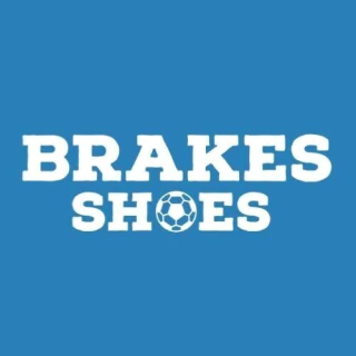 brakes shoes