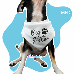 PALIACATE PARA PERRO BIG SISTER - tienda en línea