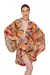 Kimono Apoteose