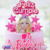 SET CAKE TOPPER BARBIE