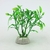 Ludwigia 2 - comprar online