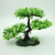 Bonsai - 27x16x19 cm - comprar online