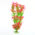 Rotala - comprar online