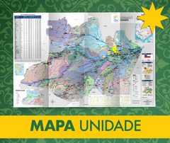 Mapa do Amazonas 2024