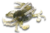 ISCA KING CRAB - comprar online