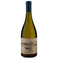 Garrafa de vinho Tara Atacama Chardonnay 750ml com rótulo ilustrado e tampa azul.