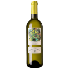 Vinho Branco Michele Chiarlo Le Madri Roero DOCG - 750ml